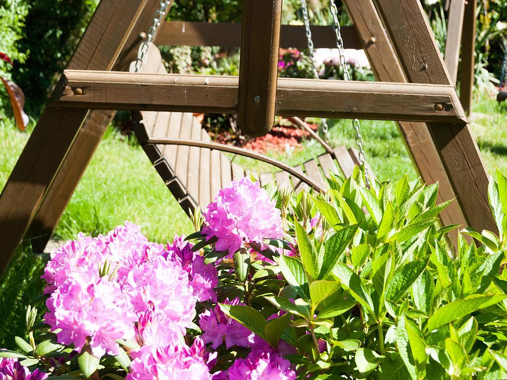 Bed and Breakfast Sloneczny Dwor Крыница-Морска Экстерьер фото